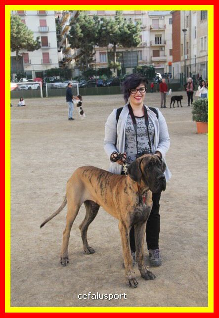 180311 mostra_canina 149.jpg
